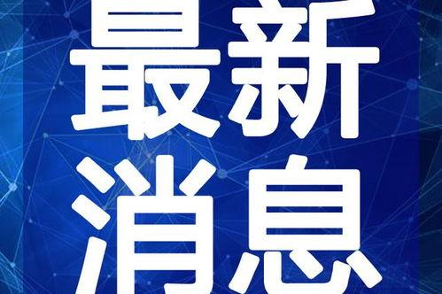郑州女房东最新爆料视频,揭露惊人内幕，引发社会热议！